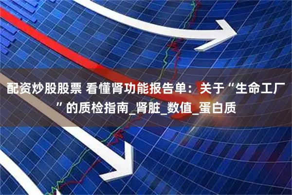 配资炒股股票 看懂肾功能报告单：关于“生命工厂”的质检指南_肾脏_数值_蛋白质