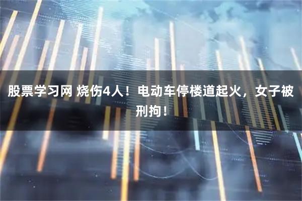 股票学习网 烧伤4人！电动车停楼道起火，女子被刑拘！